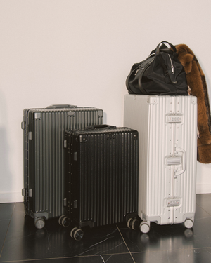 Large Check-in Bag (Silver)