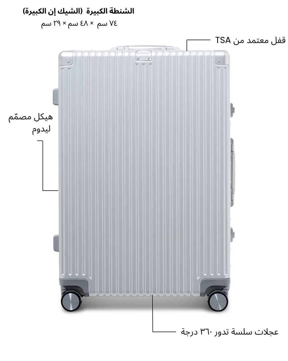 Large Check-in Bag (Silver)