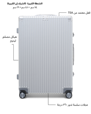 Large Check-in Bag (Silver)