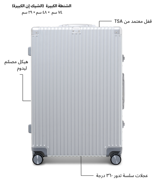 Large Check-in Bag (Silver)