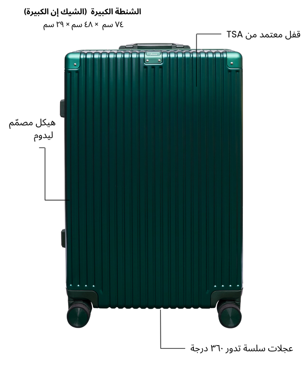 Large Check-in Bag (Green)
