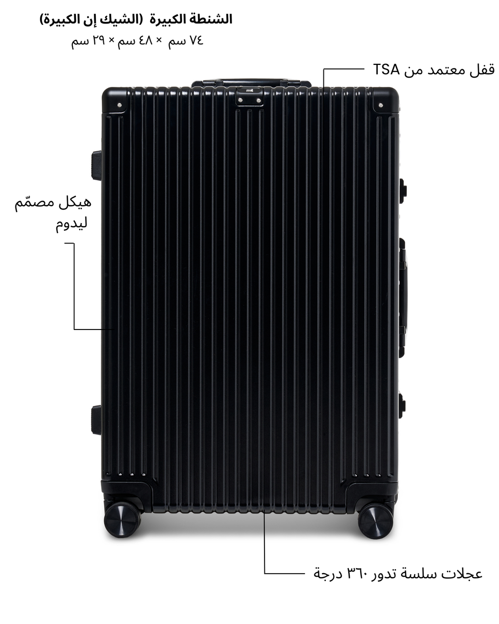 Large Check-in Bag (Black)