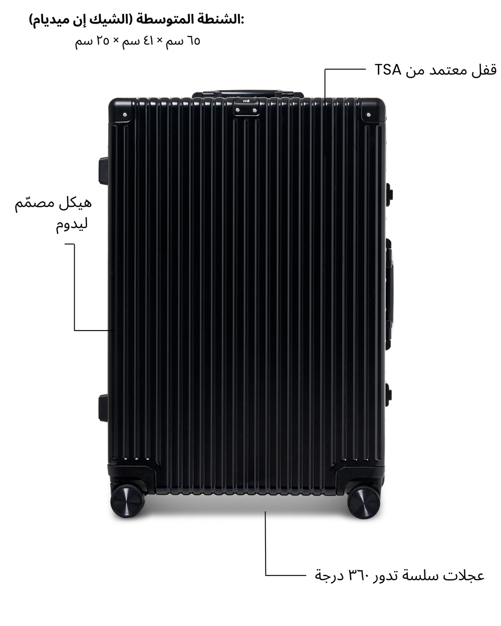 Medium Check-in Bag (Black)