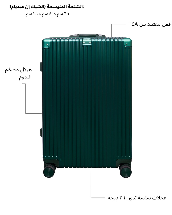 Medium Check-in Bag (Green)