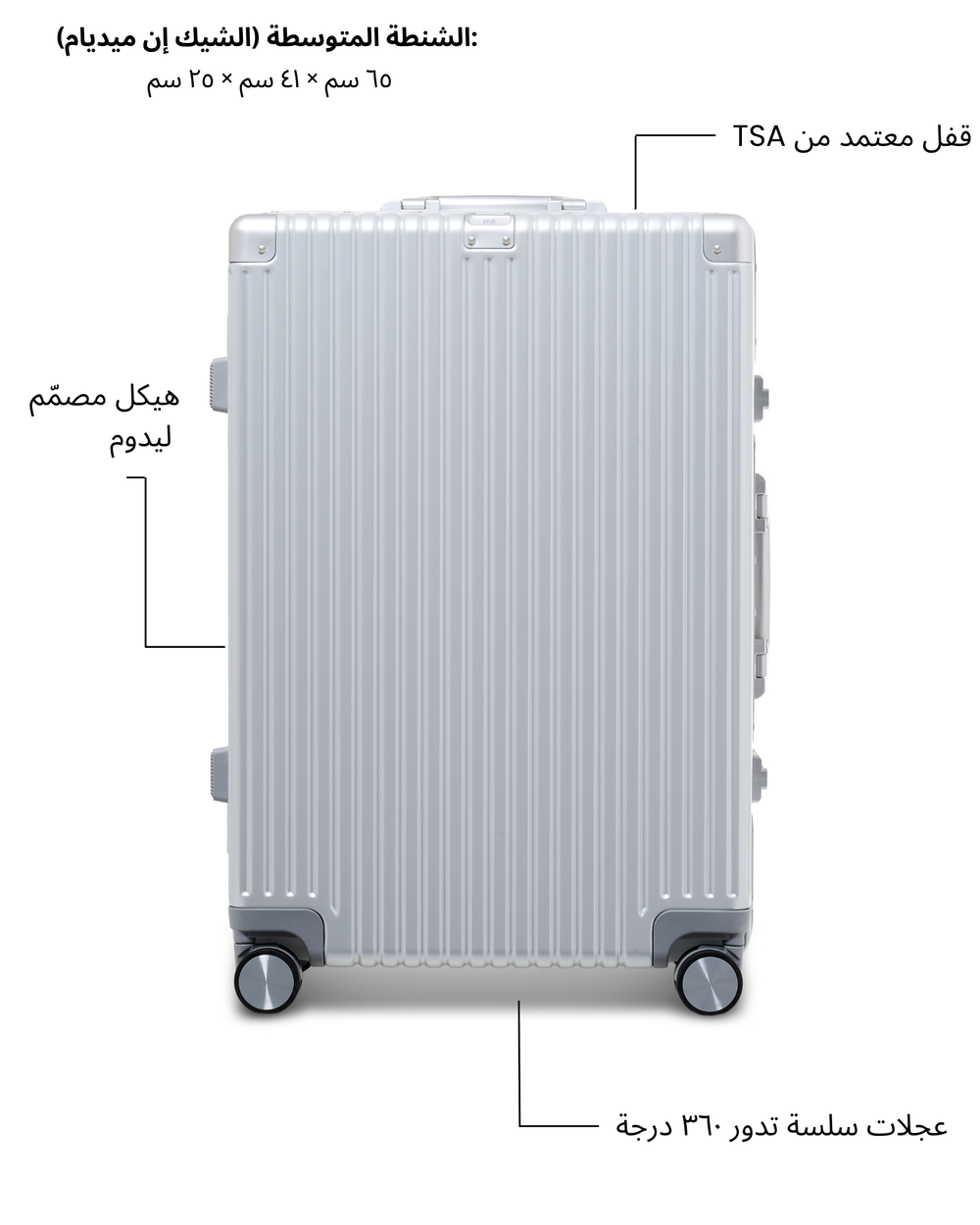 Medium Check-in Bag (Silver)