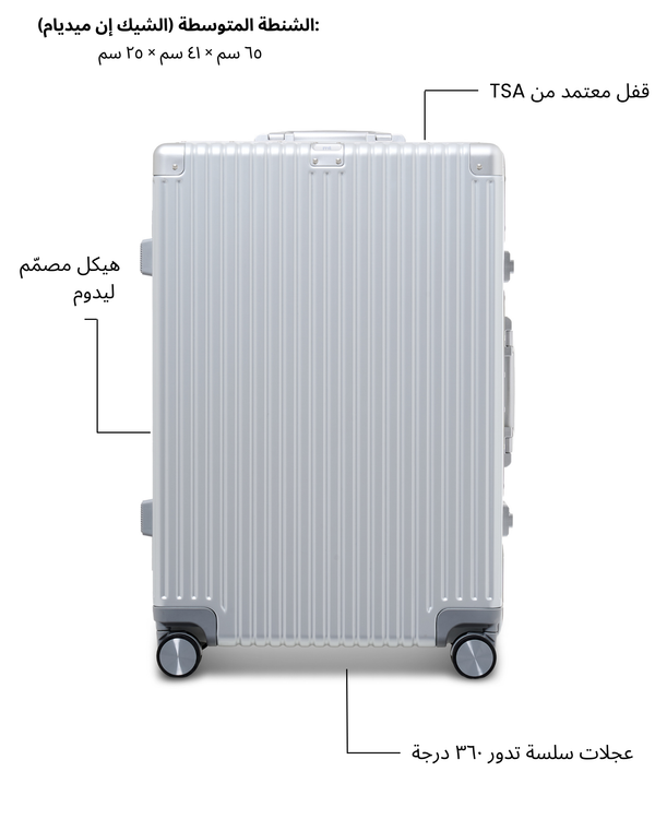 Medium Check-in Bag (Silver)