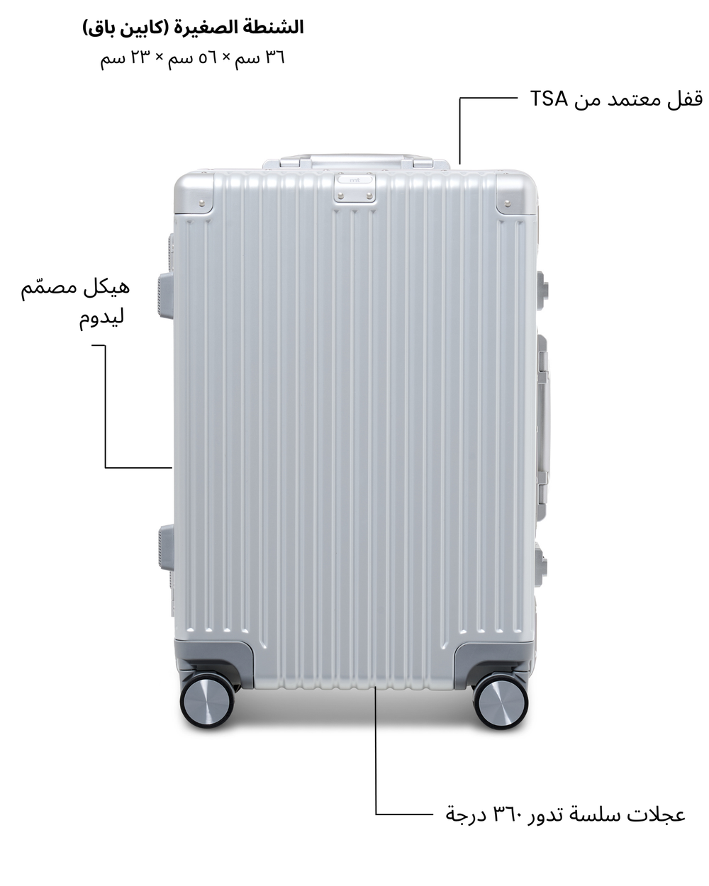 The Cabin Bag (Silver)