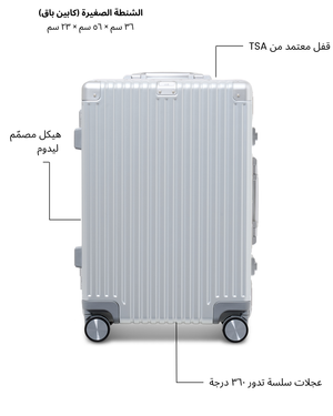 The Cabin Bag (Silver)