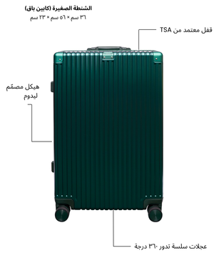 The Cabin Bag (Green)